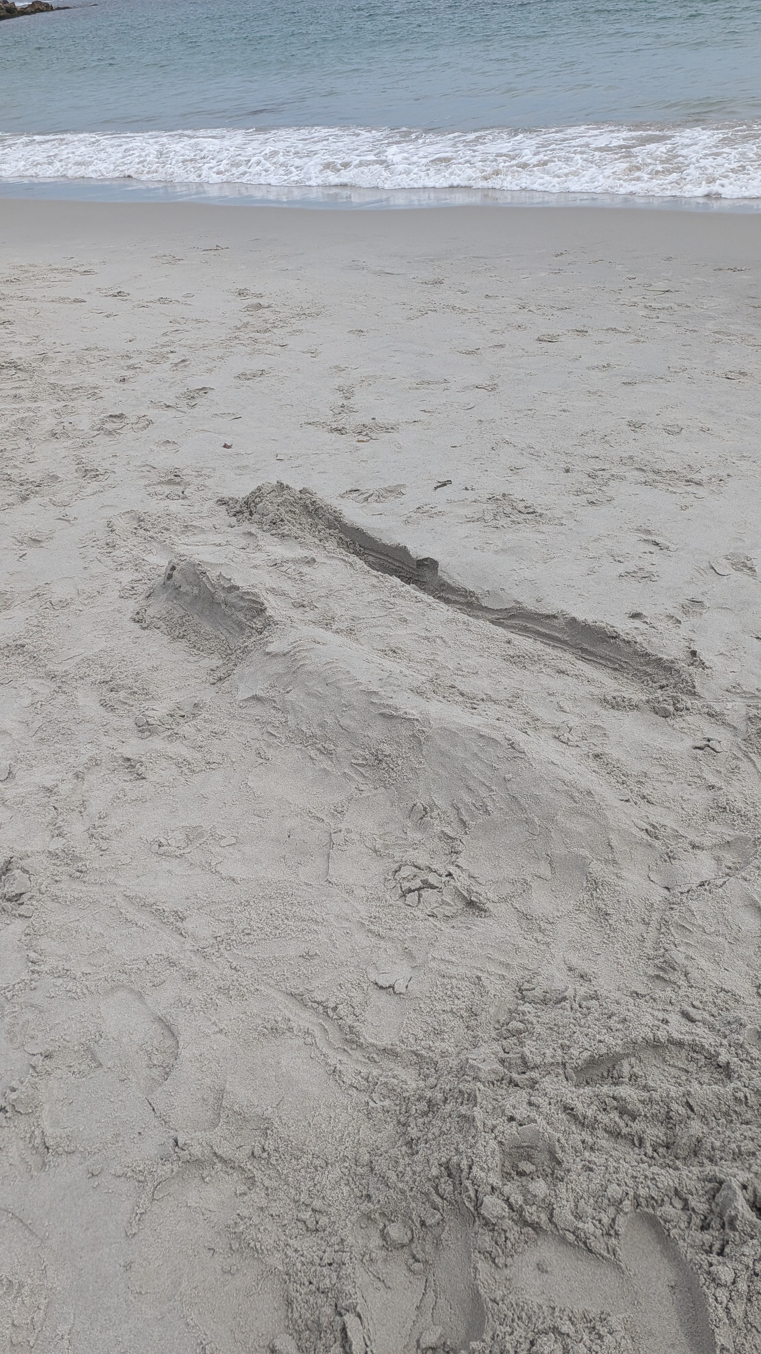 Sand caslte